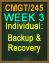CMGT/245 Backup and Recovery